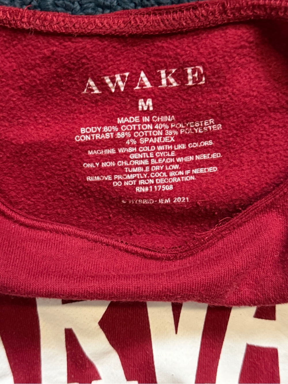 Awake Red Harvard Logo Sweatshirt - Picture 3 of 3